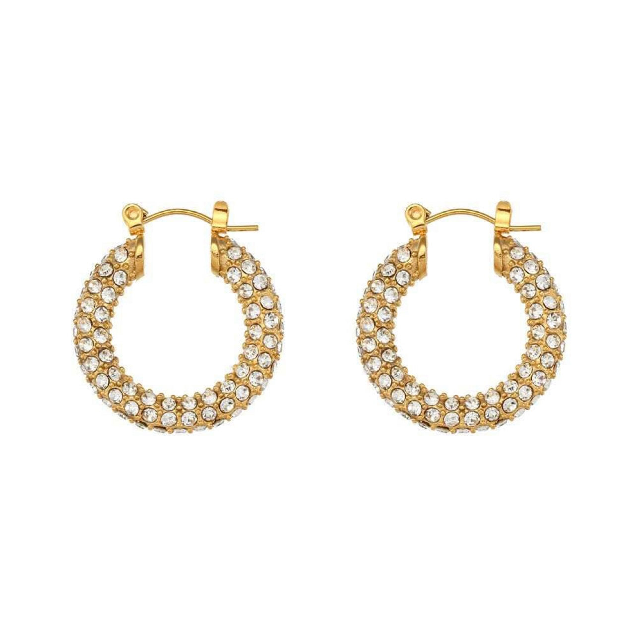 Firooz Earrings (18K gold plated)